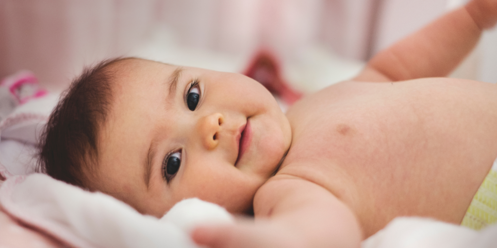 akta liv - endocrinologista vila mariana -gordura marrom - BEBE