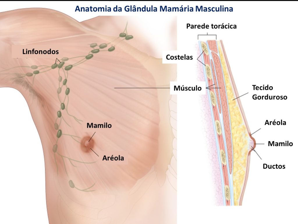 Mastologia - mastologista sao paulo - akta liv - cancer de mama em homens - cancer de mama masculino