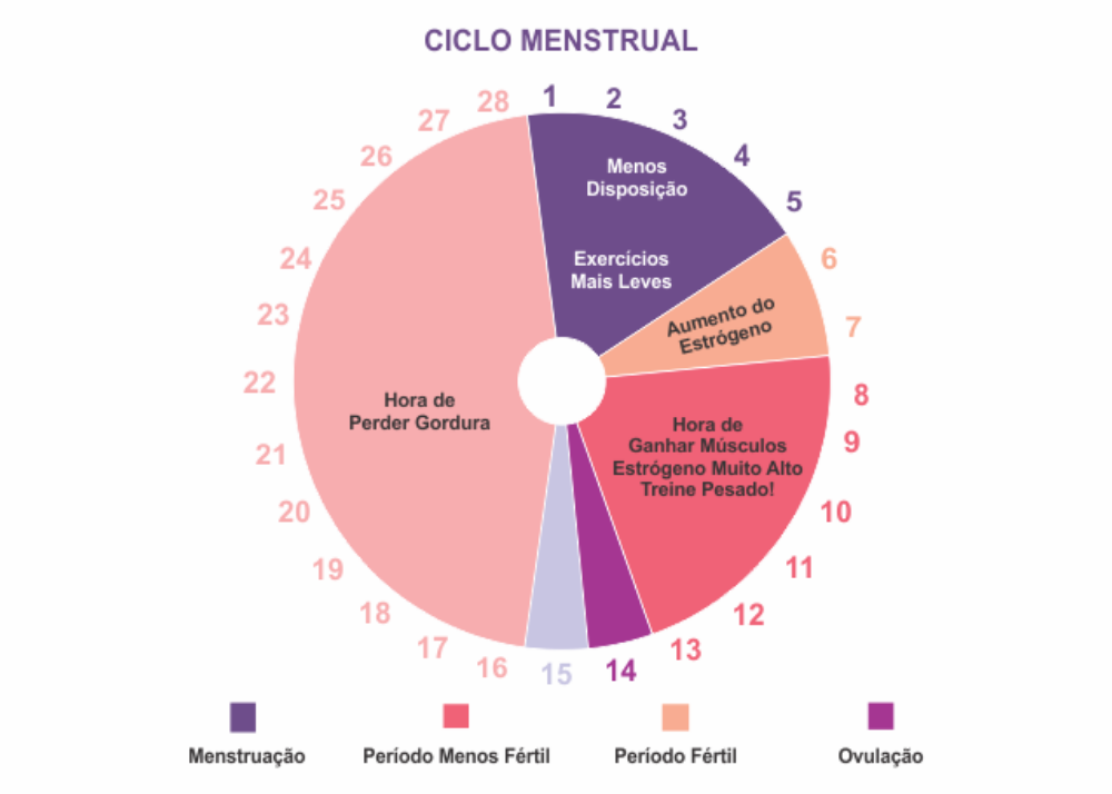 AKTA-Liv-Mastologista-Sao-Paulo-ciclo-menstrual-cartela