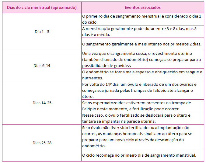 AKTA-Liv-Mastologista-Sao-Paulo-ciclo-menstrual-fases